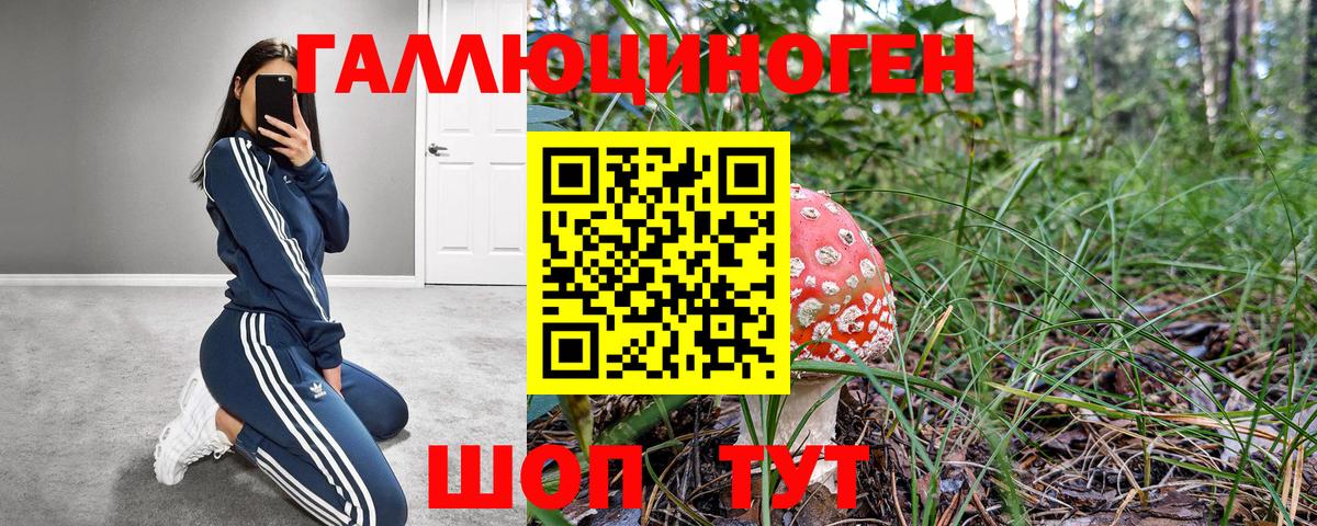 Псилоцибиновые грибы MAGIC MUSHROOMS Алексеевка